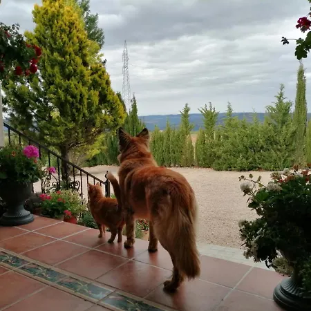 Bed & Breakfast Gitanos Jarafuel