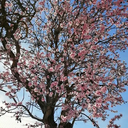 Bed & Breakfast Gitanos