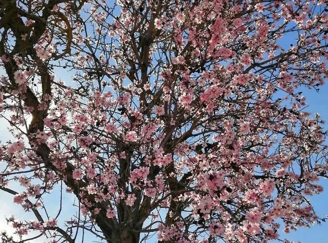 Bed & Breakfast Gitanos